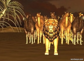a lion in the desert. Five 6 foot tall camels are behind the lion. Six 7 foot tall camels are behind the 6 foot tall camels. Seven 8 foot tall camels are behind the 7 foot tall camels. Eight 9 foot tall camels are behind the 8 foot tall camels. Nine 10 foot tall camels are behind the 9 foot tall camels.

a gold light is 5 feet in front of the lion. sun's altitude is -20 degrees. ambient light is tan.
a  palm tree is left of the camels. sun is old gold.