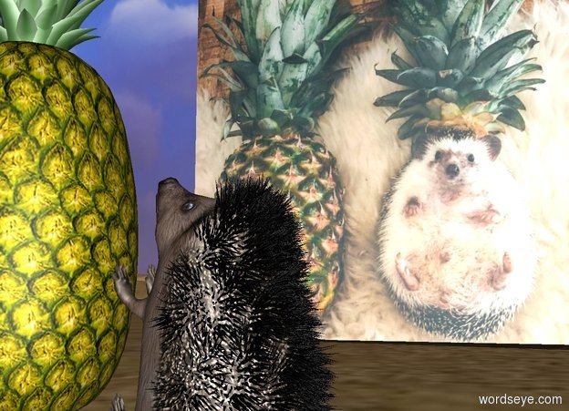 Input text: The [image-11948] wall is 8 feet wide. The huge pineapple is 9 feet in front of the wall. The large hedgehog is to the right of the pineapple. It is facing the pineapple. It is leaning 90 degrees to the front. It is on the ground.