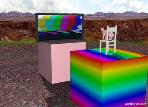 A 1st pink cube is 200 inch wide and 200 inches tall. A 2nd rainbow cube is 200 inches wide and 200 inches tall. The 2nd rainbow cube is 200 inches to the right of the 1st pink cube. A 150 inch tall television is on top of the 1st pink cube. The television is facing east. A 100 inch tall white wooden chair is on top of the 2nd rainbow cube. A 45 inch tall pink cat is on top of the white wooden chair. The white wooden chair is facing the west. The pink cat is facing the west.