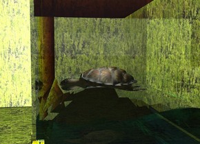 the clear aquarium. the 0.3 feet tall turtle is -1.4 feet above the aquarium. the ground is texture. the 1st [texture] wall is 4 feet behind the aquarium. the 2nd [texture] wall is 4 feet to the right of the aquarium. it is facing to the turtle. the light is on the turtle. the turtle is facing to the north