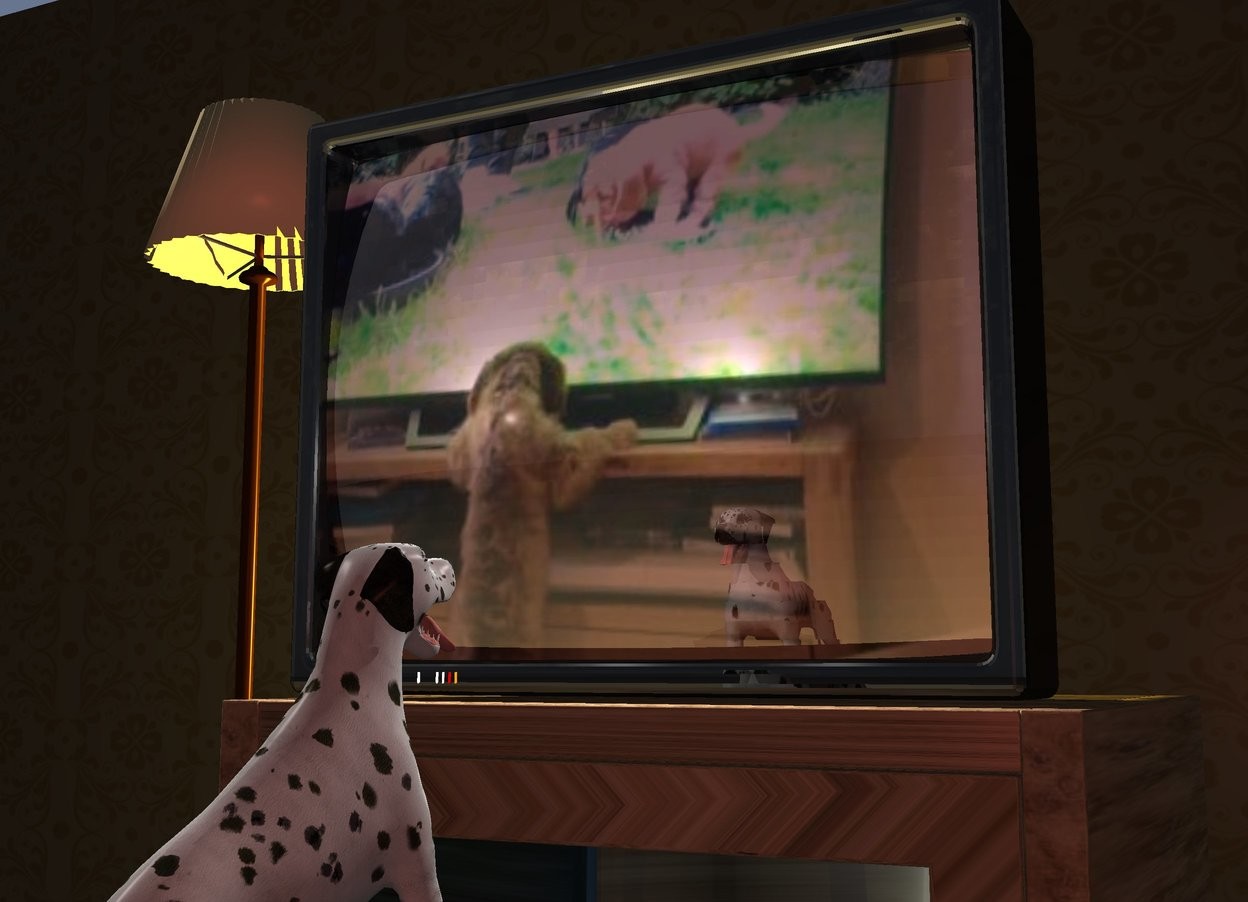 Input text: The screen of a 20% shiny television is image-12181. The television is on a large [wood] cabinet. A small dog is 4 inch in front of and -1.5 foot above the cabinet. It is facing north. It is leaning back. A 20% dark [beige] wall is 4 feet behind and -3 feet above the dog. Camera light is brown. 2 lights are behind and above the dog. 3 lemon lights are behind and left of the television. A dark lamp is 1 feet left of and -1.6 feet above and -1.5 foot behind the cabinet.