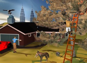 a 1st house.a tree is -11 feet right of and -15 feet in front of the house. the needle of the tree is bronze green.the 5 feet tall and 5 feet wide and  5 feet deep [wood] log cabin is -18 feet above and -10 feet in front of and -11 feet right of the tree. it faces southwest. a ladder is -37 feet above and -8 feet in front of the tree. it faces northeast. a wolf is 2 feet left of the ladder. it is on the ground. it faces southwest. a 1.2 feet tall dog is -1.5 feet above and -.6 feet in front of and -1.4 feet left of the wolf. it leans 26 degrees to the left. a boy is -6 feet above the ladder. a owl is -.5 feet left of and -.9 feet above and .5 feet in front of the boy. it leans 25 degrees to the southeast. a eagle is 2 feet above and -14 feet left of and -13 feet in front of the 1st house. a cat is -2.2 feet above the eagle. it faces right. it leans to the front. a copper light is on the owl.a car is -10 feet in front of and -14 feet left of the 1st house. it faces back. a 5.5 feet tall man is 3 feet right of the car. he faces the wolf. a city backdrop. the ground is grass. a raccoon is  3 feet behind and .4 feet right of the wolf. it faces the ladder.