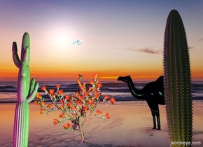 The  [night]  backdrop.  the shadow plane.

a second cactus is 9 feet left of the first cactus. the large third cactus is -2 feet right of the second cactus.  it is behind the first cactus.

a black camel is 16 feet behind the second cactus. it is facing southwest. the seagull is 2 feet above the third cactus.

the orange light is in front of the first cactus. the cyan light is left of the cactus. a red light is two feet in front of the second cactus. a blue light is right of the red light. the camera light is black.  
