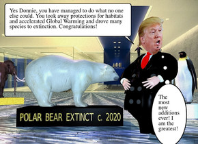 ground is visible. a 6 feet wide and 3 feet deep and 2 feet tall black cube is -1 feet above the ground. it faces southeast. ground is 5 feet wide water. a polar bear is on the cube. it faces northeast.  backdrop. a man is 1 feet right of the cube. the tie of the man is red. the suit of the man is black.a head is -1.4 feet above and -1 feet in front of and -2.32 feet left of the man. Gold 5 inch tall and 5.5 feet wide "POLAR BEAR EXTINCT c. 2020" is -8 inch above and -4 feet in front of and -6.5 feet left of the cube. it faces southeast. a 7 inch tall man is -1.2 feet left of and -1.39 feet above and -1.1 feet in front of the man. a 1.4 inch tall head is -1.63 inch above and -.34 inch in front of and -4.34 inch left of the man.it leans right.a 2 feet tall and 2 feet wide white cylinder is 4 feet behind and -8 feet left of the cube. a penguin is on the cylinder. a 12 feet deep and 4 feet wide and 2 feet tall gold cube is -13 feet in front of and 20 feet left of the cube. a wooly mammoth is .1 inch above and -8 feet behind the gold cube. it faces back.a coral light is on the wooly mammoth. a lavender light is on the polar bear. the ambient light is igloo blue. the sun is straw yellow. camera light is azure blue