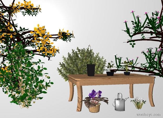 Input text: THE WHITE BACKDROP. a table.a first plant is on the table.a second plant is 6 inches right of the first plant.a third plant is 7 inches left of the first plant.a bush is 3 feet behind the table.a second bush is 1 feet left of the table.a clematis is 2 feet behind the second bush.a watering can is in front of the table.a climbing rose is 2 feet behind the first bush.a african violet is left of the watering can.a cyclamen is 2 inches right of the watering can.