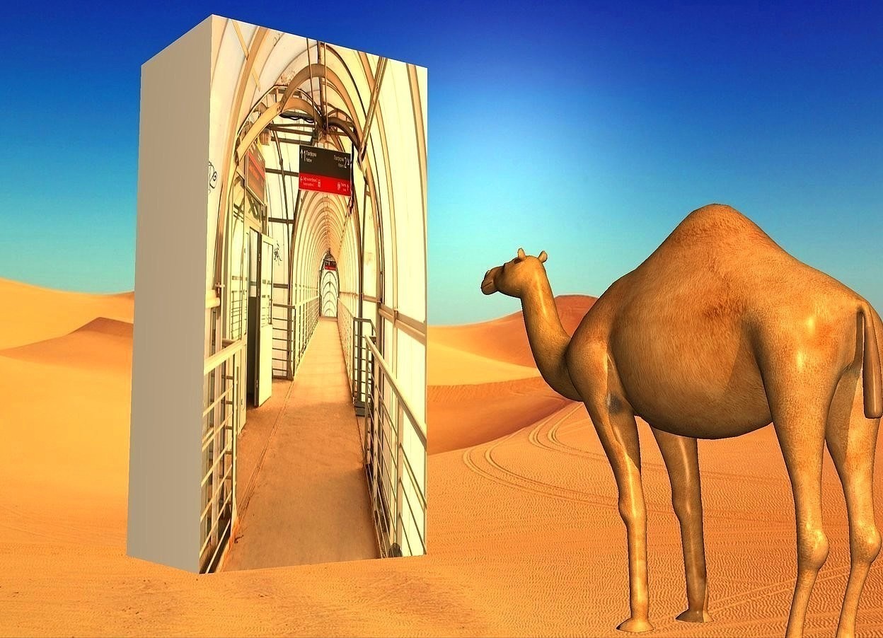 Input text: a 80% dark picture postcard is 5.8 inches wide and 4.1 inches tall. it leans 90 degrees to the front. shadow plane is invisible. a 6 inch tall camel. it is .5 foot in front of and -.4 foot right of the postcard. sun is navajo white. the camel faces the postcard. sun's azimuth is 200 degrees. camera light is  navajo white.