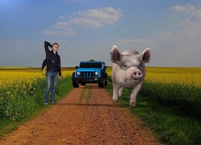 The college student is 7 feet left of the pig.
The pig is 8 feet tall.
The offroad vehicle is 30 feet behind the college student.
The farm backdrop.
The college student is 9 feet tall.
The offroad vehicle is 8 feet tall.
The college student is facing southeast.
The pig is facing south.
The offroad vehicle is facing south.