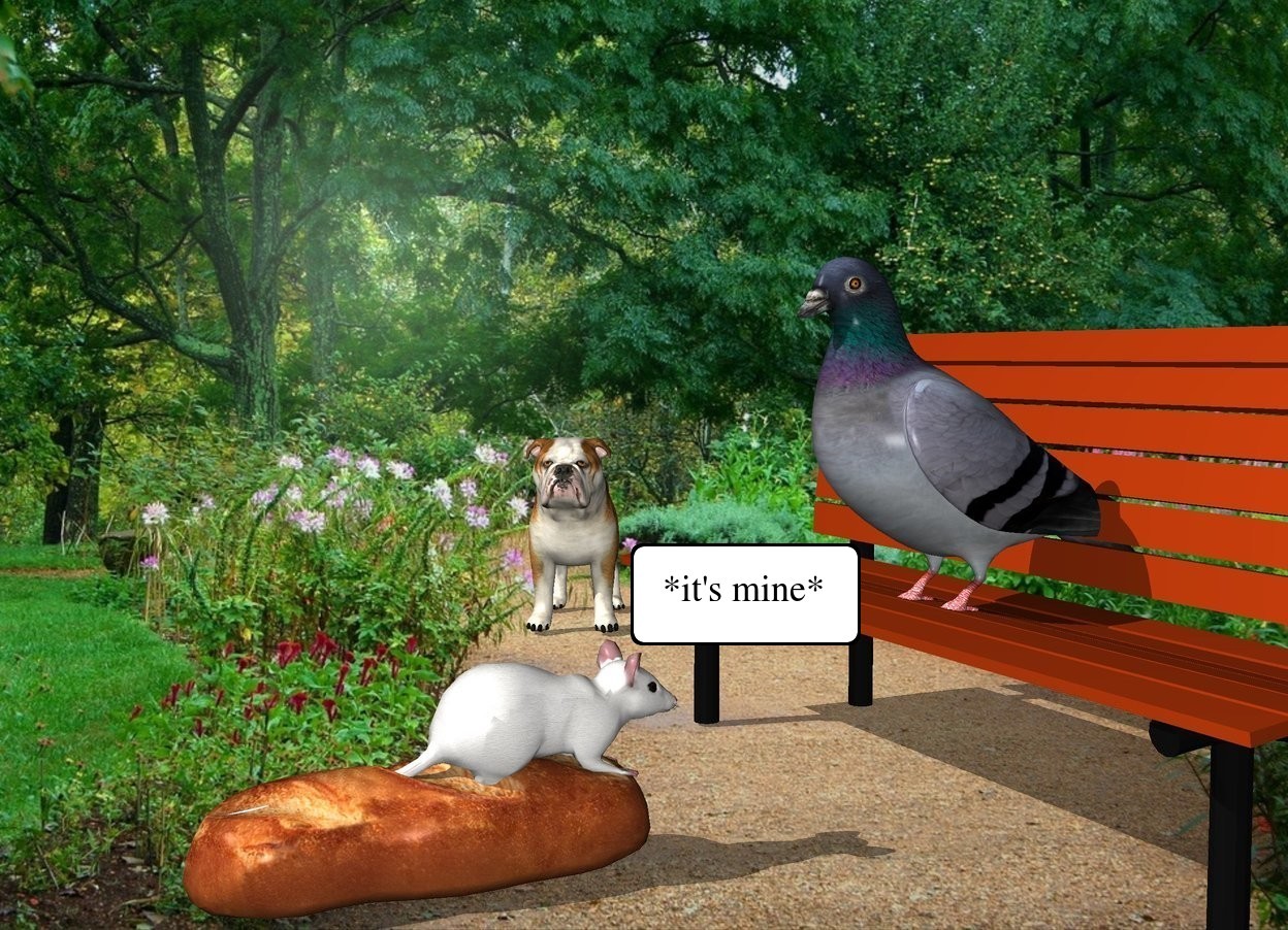 Input text: the dog is in the park. the bench is two feet in front of the dog. it is facing left. a large pigeon is on the bench. 

the large bread is 1 foot to the left of the bench. a very large mouse is on the bread. it is facing right. 

the dog is facing the bread.
the pigeon is facing the bread. 


