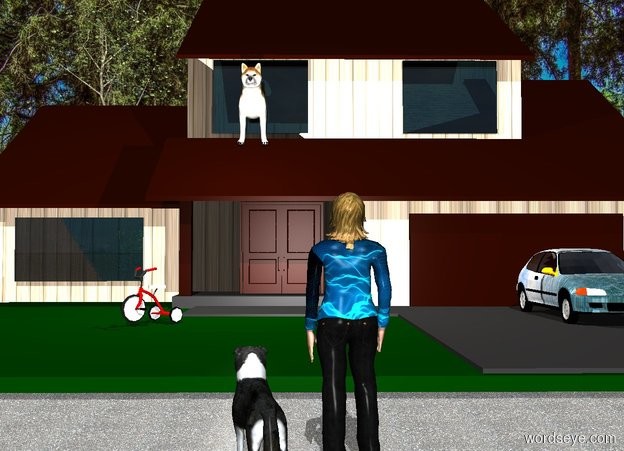 Input text: a 30 foot tall [brick] house. a 6 foot tall dog is -18 feet above and -38 feet in front of and -29 feet left of the house. the dog leans 10 degrees to the front. a linen light is 5 feet in front of the dog. a [blue] car is -25 feet in front of and -20 feet right of and -29.5 feet above the house. a 40 foot tall tree is behind and -20 feet left of the house. a woman is 8 feet in front of the house. she faces the tree. her shirt is [blue]. a border collie is left of the woman. the border collie faces the tree. ground is pavement. ground is visible. backdrop is woods. sun's azimuth is 180 degrees. a 3 foot tall  tricycle is -19 feet in front of and -25 feet left of and -29.5 feet above the house. it faces southwest. a mink brown door is -32 feet in front of and -29 feet above and -33 feet left of  the house. the woman's head of hair is [hair].