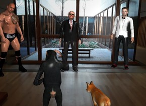 a fox is in a museum. A chimp is 1 feet to the right of the fox. Warren is 7 feet in front of the fox. Warren is facing the fox. Dwayne is 3 feet to the right of warren. Dwayne is facing the fox. Elon is 3 feet to the left of warren. Elon is facing the fox.