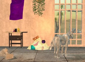 gray dog is facing northeast. big [texture] window is 3 foot behind dog and -3 foot to right.  window is 0.5 foot in ground. wall is -6 inch left of window. wall is 5 foot wide [texture]. ground is [sand]. camera light is old gold. ambient light is morning sky blue. sun is cappuccino brown. big pale skeleton is 4 feet behind window and -9 feet to left.  skeleton is facing up. skeleton is 0.5 feet in ground. 15 foot wide floor is -0.5 foot in front of wall and -8 foot to right. floor is 0.01 inch in ground. floor is 6 foot wide [texture]. 2.8 foot tall pale table is in front of wall and -7 foot to right. 2 foot tall wave is  -1.5 foot right of table.  wave is 0.5 foot wide shiny [gold]. clear lavender tiny  dodecahedron is -2.8 foot right of wave and 1 foot above ground. dodecahedron is -1.8 foot in front of wave. clear cyan very huge diamond is -3  foot left of wave and -2 foot to front. diamond is leaning 45 degrees to left. diamond is 2 inch in ground. shiny crown is -0.5 feet above wave and -3.3 foot to left. crown is leaning 30 degrees to right. a first lilac jar is on table. gold 0.6 foot tall urn is 2 inch in front of jar and 2 inch to right. a 0.45 foot tall flask is 1 inch in front of jar and -2 inch to left. flask's flask is [texture]. gladiolus is -4 inch left of urn and -8 inch to front. gladiolus is facing down. gladiolus is facing southwest. [texture] statue is 3 feet in front of table and -3 feet to left. statue is facing up. statue is facing southeast. flag is 2.5 feet above wave and -1.5 foot to left. flag is upside down. flag is leaning 90 degrees to right. flag's body is [texture]. 9 foot tall joshua tree is 1 foot left of skeleton. tree is facing right.   common ivy is 3 feet above wave. vulture is 1.5 feet above skeleton. vulture is leaning 40 degrees to front.