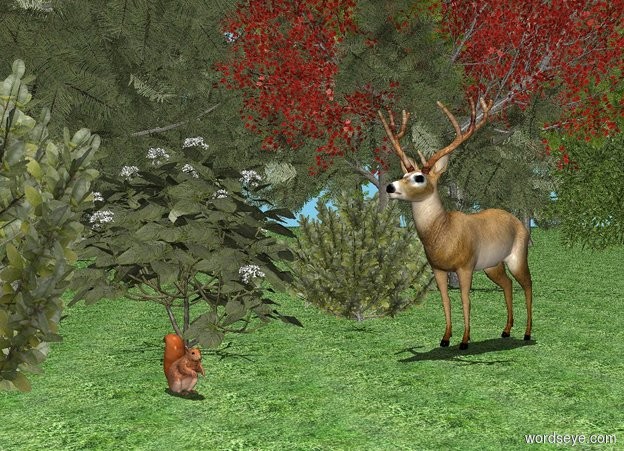 Input text: It is noon. Sky is sky blue, the ground is [grass]. The first tree is 5 feet away from the second tree. the second tree is facing the first tree. The third tree is .5 feet to the left of the deer. The third tree is facing the deer. The deer is to the left of the second tree. The fourth tree is -.8 feet behind and to the left of the deer. The boxwood is to the left of the deer. The 5 foot tall hortensia is in front of the boxwood.  The 6 foot tall boxwood is 7 feet in front of the deer. The 1 foot tall squirrel is 5 feet in front of the deer. The squirrel is facing right. 