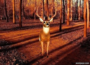 backdrop is [forest]. sun's azimuth is 25 degrees. sun's altitude is 20 degrees. sun is linen. a deer. ambient light is amber. 
