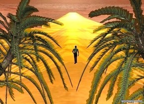 The  [scene]  backdrop is 60% shiny. it is noon. sun is linen. sky. a date palm. a 2nd date palm faces back. it is 1 foot right of the date palm. a 50% dark person. he is behind and 1.5 foot left of and -20 feet above the date palm. a drop is  5 feet behind and .5 feet left of the person. the person faces the drop.