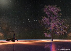 Night backdrop is 80% dark. 2 scarlet lights are 2 feet in front of and 14 feet above 2 blue lights. A 20% shiny tree is left of the lights. The tree is on a shiny [dark] field. Camera light is black. A large boy is 30 feet left of the tree. He is facing the tree. Sun is cream. Azimuth of the sun is 300 degrees. A large anteater is 1 foot behind and -6.5 feet left of the boy. It is facing the tree.