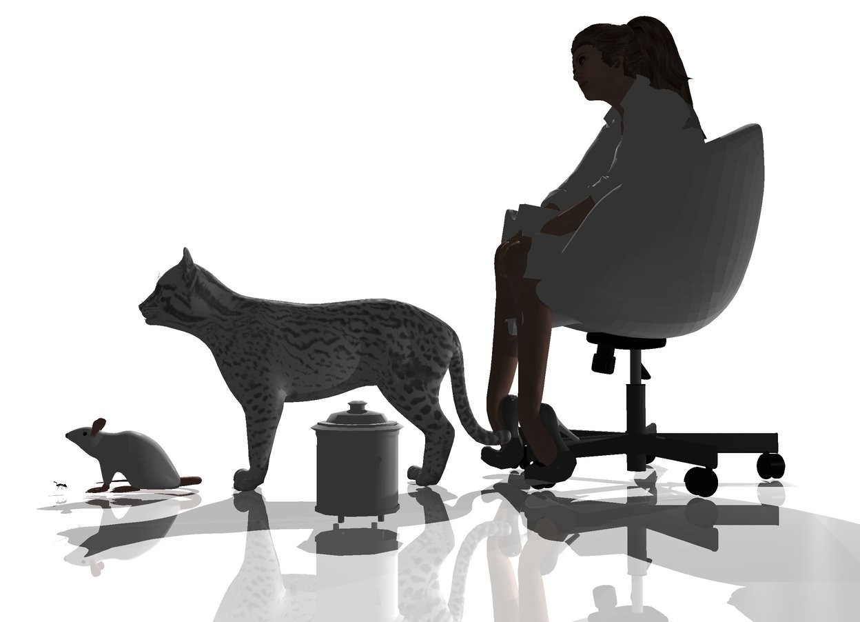 Input text: Shiny ground is white. Sun is silver. White sky. A white cat is in front of a white chair. A white woman sits in the chair. Camera light is black. A small white pot is 1 foot right of the cat. A white mouse is -6 inch in front of the cat. An ant is in front of the mouse. 3 dim lights are behind the chair.