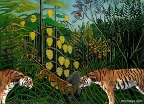 backdrop is [animal]. sun's azimuth is 0 degrees. the sky leans 45 degrees to the back. a light is in front of the tiger. A tiger is 4 feet south of him. He faces north. sun is linen. it is noon.