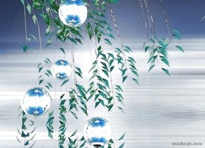 backdrop is [water]. sky is [beauty]. a shiny weeping willow is 6 feet in the ground. a 1st silver sphere is in front of the willow. it is 1 foot above the ground. a 2nd .75 foot tall silver sphere is .3 feet above and right of the sphere. ground is silver.  ground is visible. a 3rd silver sphere is 1 foot above and in front of the sphere. a 4th silver sphere is on the ground. it is right of the sphere. it is noon. sun is linen.
