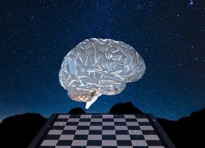 The ground is [hg 1]. the brain is 1000 feet above the ground. The brain is 1.5 feet wide. The brain is reflective. the brain faces east. The bright light is above the brain. The chessboard is 6 inches below the brain. The chessboard is 3 feet wide. The chessboard is shiny 1% dim pink. 