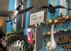 image-15941 backdrop. A bird is 1 foot right of a bird. It is facing west. A bird is -3 feet above the bird. It is facing southwest. A small bird is 1 foot left of and -1 foot above the bird. It is facing southeast. A 50% dark phone is -1 inch in front of and -7 inch above the bird. It is facing the bird.