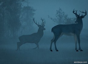 The sky blue image  backdrop.

A 50% dark sky blue deer faces east.

 Camera light is black. Sun is black. Ambient light is sky blue.