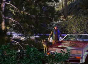 A tiny tree is in a dark shiny car. Forest backdrop. A dark tree is left of the car. It is -5 feet above the ground. Camera light is brown. A man is left of the car. He faces southeast. A lemon light is 6 feet left of and in front of the car. 2 navy lights are right of and above the car. Sun is silver. A dark river is -75 feet behind the man. A huge shiny black sheet is -20 feet in front of and -20 feet right of and -9 feet above the man. A wolf is left of the man. A small dark 20% shiny bush is 7 feet in front of the car.