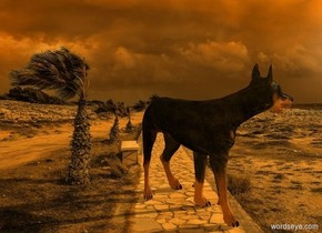 orange [Storm] backdrop. [country road] sky.

A dog faces southeast.
Sun's altitude is 20 degrees.
Sun's azimuth is 45 degrees.
Ambient light is orange. Camera light is black.