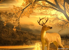 orange 100% dark  [night] backdrop. [country road] sky.

A 100% dark orange deer faces southeast.
Sun's altitude is 20 degrees.
Sun's azimuth is 45 degrees.
Ambient light is orange. Camera light is black. Invisible shadow plane.