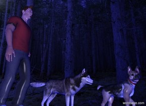 forest backdrop. The backdrop is 50% dark. forest sky. A dog is on the ground. A dog is 0 foot north of him. A man is 0 feet north  of him. 
 
 pale shadow plane. Sun's azimuth is 0 degrees. Ambient light is blue.