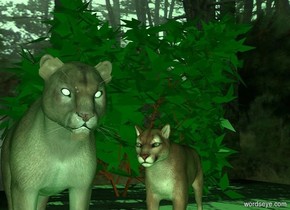 a 20 foot tall [forest] cube. a 1st cougar  is -19.9 feet above the cube.  He faces southeast.  A cougar is .5 feet south of him. He faces east.  the ambient light is forest green. a 10 foot tall tree is  to the left of and -8 feet in front of the 1st cougar. it is 3 feet in the ground.