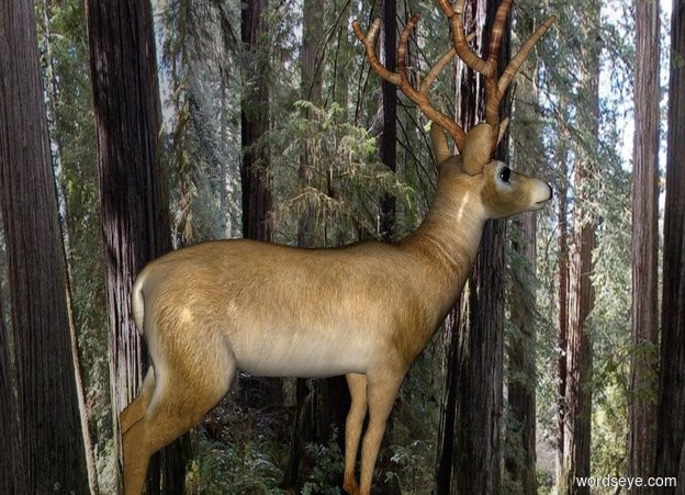 Input text: a 20 foot tall [forest] cube. a deer is -9 feet above the cube. He faces southeast.