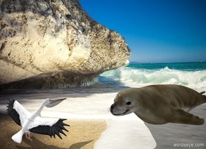  backdrop is [beach].  sun's azimuth is -90 degrees. A seal is on the ground. A pelican is 0 feet south of it and -1 foot west of it. He faces north. Ambient light is white. Camera light is black.