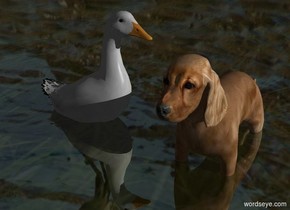 Sun's azimuth is 90 degrees. Sun's altitude is 20 degrees. Camera light is black.

[bird] sky. Sky is 50% dark.

 A large duck is -.5 feet above the 20% dark shiny grass ground. It faces east.  A dog is 0.5 feet east of it.