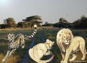 The [africa] Backdrop. A cutout faces north. A cutout is -1.5 feet east of it. A cutout is 0 feet east of it.
