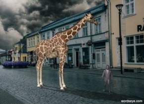 A giraffe looks at a man.
