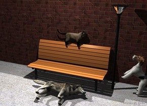A bench is next to a small streetlight. A light is 3 feet above it and 0 feet south of it. A husky is in front of the bench. He faces east. He leans 90 degrees to the west. A dog is 
-.4 feet right of the streetlight. He faces left. He leans 45 degrees to the back.   A cat is -.5 foot behind the bench and -.1 foot above it. He faces east.

A long [brick] wall is behind the bench. ground is [concrete].  Camera light is black. A cup is on the table. 