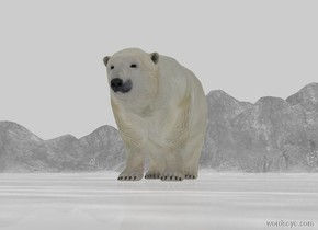 Sun is black. Ambient light is white. Camera light is black.

A polar bear is on the white ground. White sky.