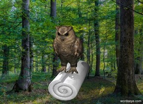 The owl is on a towel.